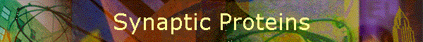 Synaptic Proteins