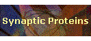 Synaptic Proteins