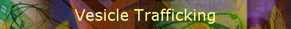 Vesicle Trafficking