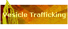 Vesicle Trafficking