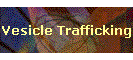 Vesicle Trafficking