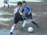 Alex
