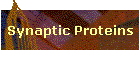 Synaptic Proteins
