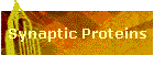 Synaptic Proteins